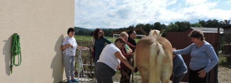 Hipoterapia 2016 - DSCN4007W