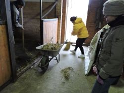 Hipoterapia - DSCN0056W