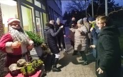 Mikulášska kapustnica v Domine
