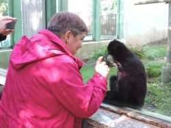 Návšteva v zoo bojnice - 4