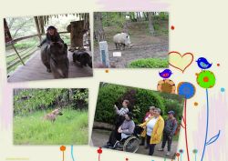 Zoo zlín 2023 - zoo zlín 20234