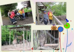 Zoo zlín 2023 - zoo zlín 2023 2