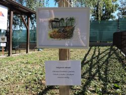 Slávnostné prestrihnutie pásky v špecializovanom zariadení pre autistov - 1