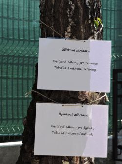 Slávnostné prestrihnutie pásky v špecializovanom zariadení pre autistov - 2