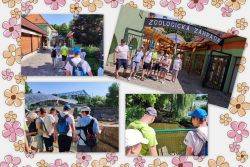 Výlet do zoo bojnice - Výlet do ZOO Bojnice 1
