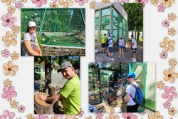 Výlet do zoo bojnice - Výlet do ZOO Bojnice 2