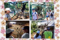 Výlet do zoo bojnice - Výlet do ZOO Bojnice 3