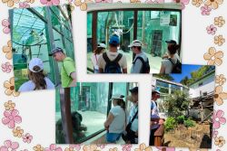 Výlet do zoo bojnice - Výlet do ZOO Bojnice 4