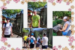 Výlet do zoo bojnice - Výlet do ZOO Bojnice 5