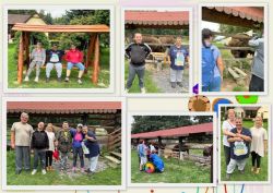 Národný žrebčín a zubria zvernica v topoľčiankach - Topoľčianky254