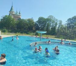 Kúpalisko čajka - čajka 4