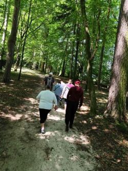 Mošovský park - f lesom