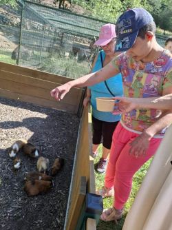 Výlet do mini zoo remata - remat4
