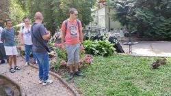 Dopoludnie v kúpeľoch bojnice - 6kupele