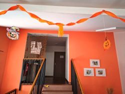 IMG_20251121_134005442_HDR