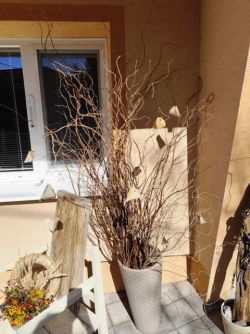 Messenger_creation_0C5CE3B6-D5D4-4212-AD8E-4F9A8E0A59C3